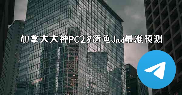 加拿大大神PC28窗龟Jnd最准预测