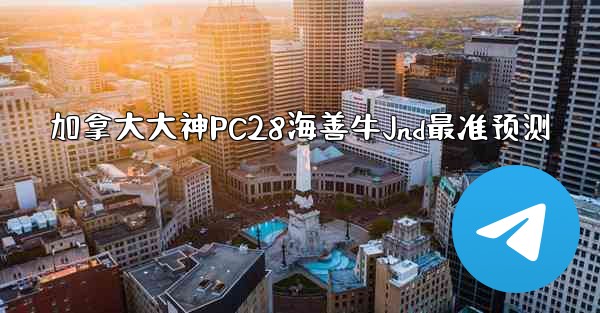 加拿大大神PC28海善牛Jnd最准预测