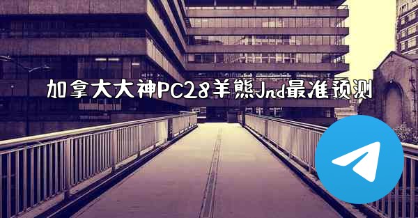 加拿大大神PC28羊熊Jnd最准预测