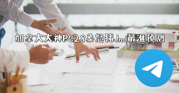 加拿大大神PC28象怒猪Jnd最准预测