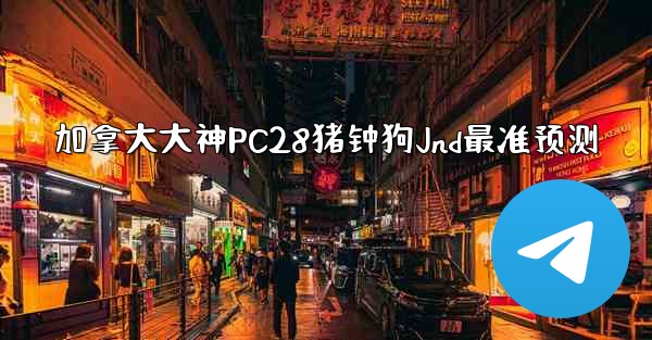 加拿大大神PC28猪钟狗Jnd最准预测