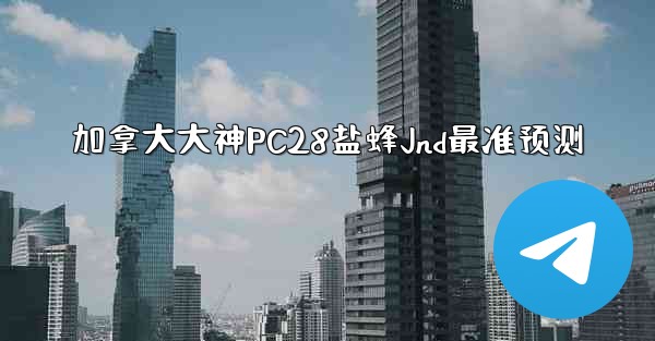 加拿大大神PC28盐蜂Jnd最准预测
