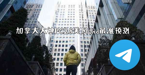 加拿大大神PC28美风Jnd最准预测