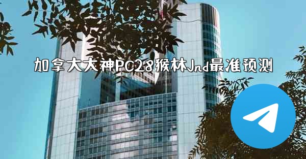 加拿大大神PC28猴林Jnd最准预测