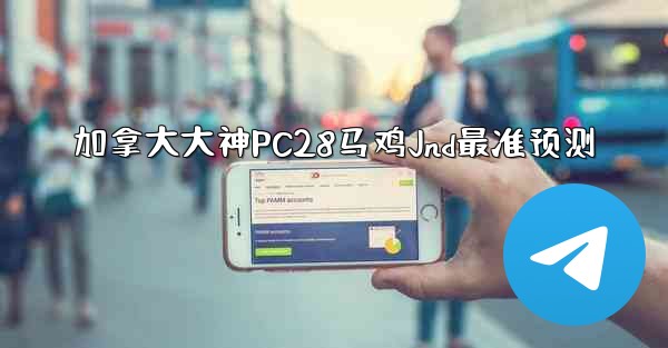 加拿大大神PC28马鸡Jnd最准预测