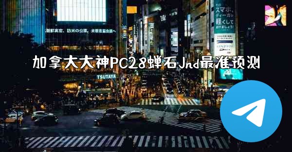 加拿大大神PC28蝉石Jnd最准预测