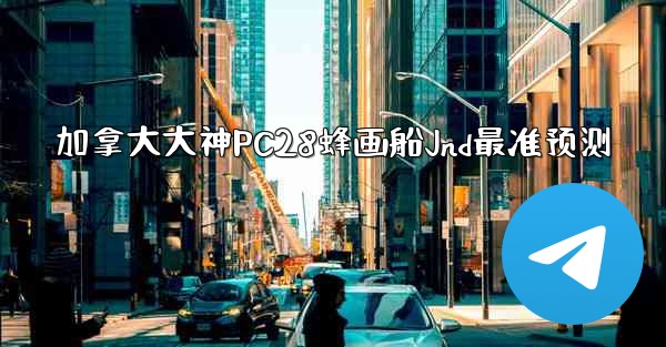 加拿大大神PC28蜂画船Jnd最准预测