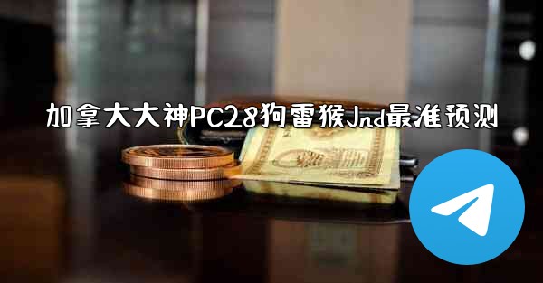 加拿大大神PC28狗雷猴Jnd最准预测