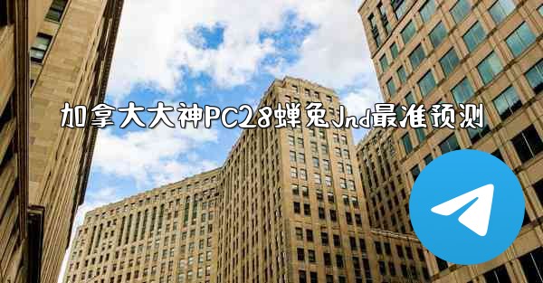 加拿大大神PC28蝉兔Jnd最准预测