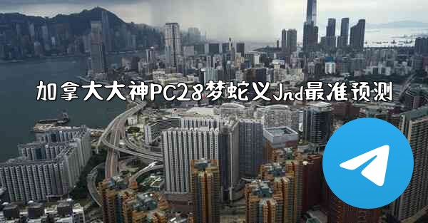 加拿大大神PC28梦蛇义Jnd最准预测