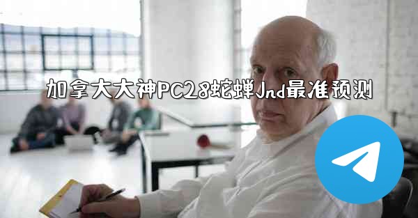 加拿大大神PC28蛇蝉Jnd最准预测