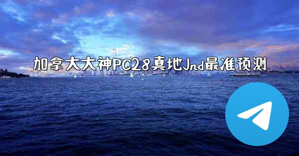 加拿大大神PC28真地Jnd最准预测