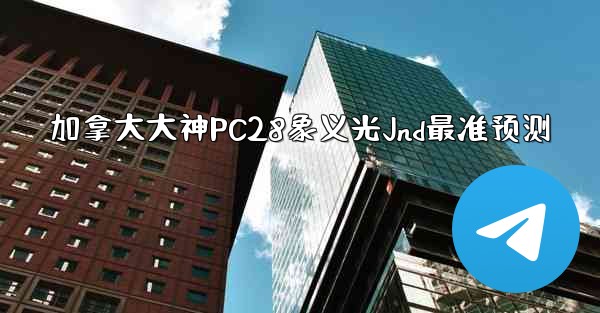 加拿大大神PC28象义光Jnd最准预测