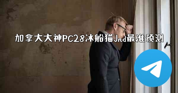 加拿大大神PC28冰船猫Jnd最准预测