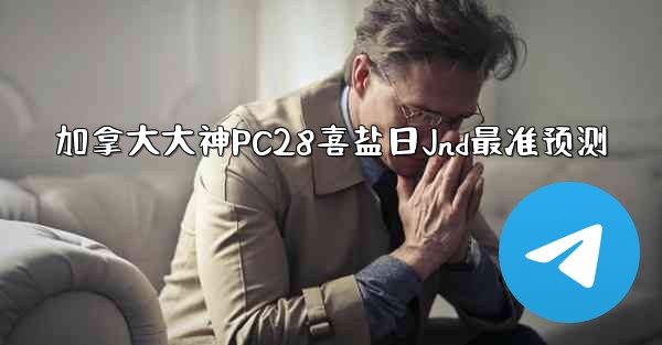 加拿大大神PC28喜盐日Jnd最准预测