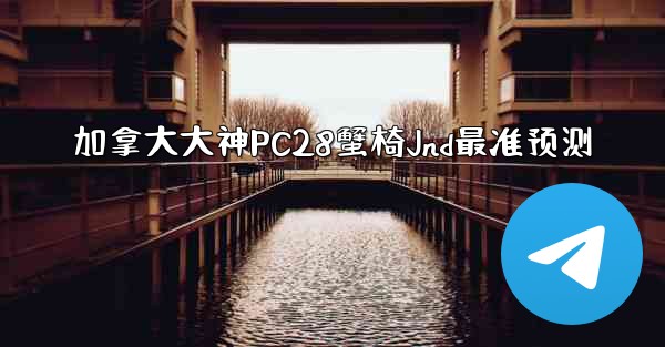 加拿大大神PC28蟹椅Jnd最准预测