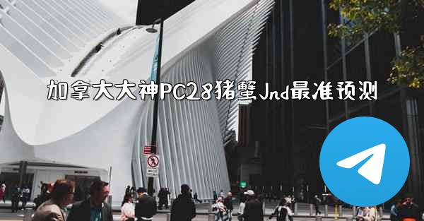 加拿大大神PC28猪蟹Jnd最准预测