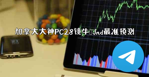 加拿大大神PC28镜牛鸭Jnd最准预测
