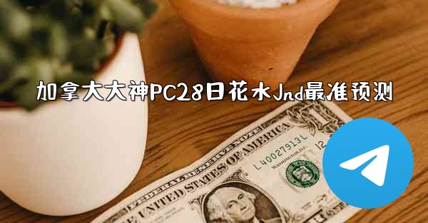 <b>加拿大大神PC28日花水Jnd最准预测</b>