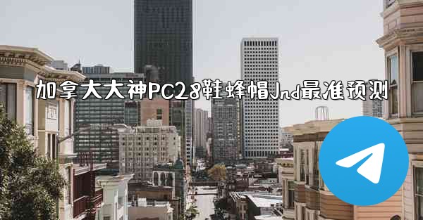加拿大大神PC28鞋蜂帽Jnd最准预测