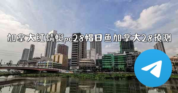 加拿大红蜻蜓pc28帽日鱼加拿大28预测