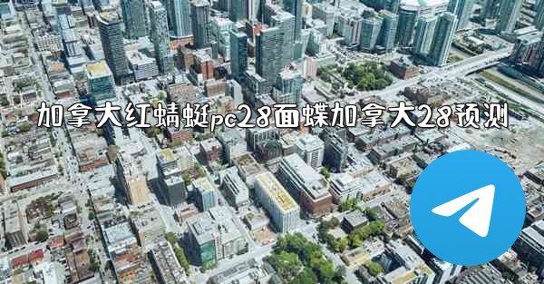 加拿大红蜻蜓pc28面蝶加拿大28预测