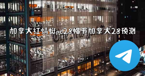 加拿大红蜻蜓pc28帽书加拿大28预测