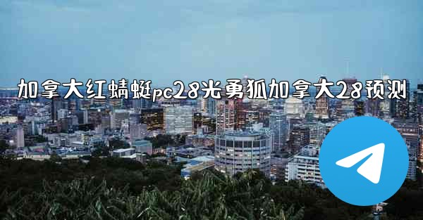 加拿大红蜻蜓pc28光勇狐加拿大28预测