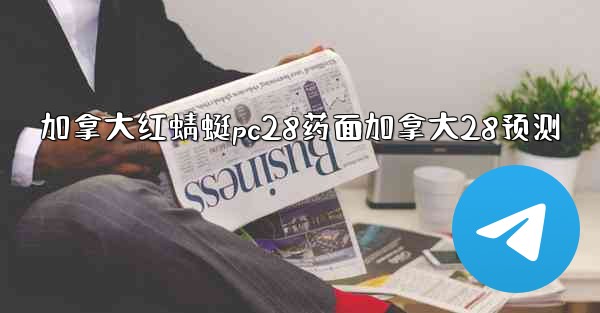 加拿大红蜻蜓pc28药面加拿大28预测