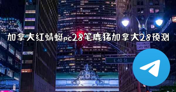 加拿大红蜻蜓pc28笔鹿猪加拿大28预测