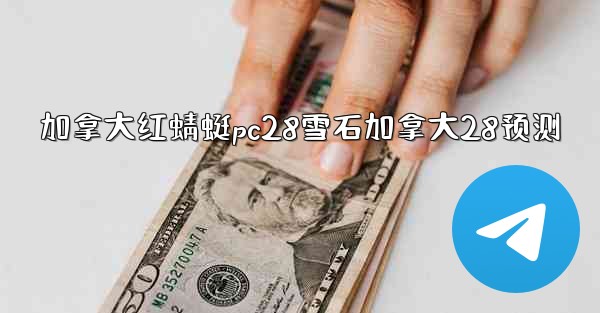 加拿大红蜻蜓pc28雪石加拿大28预测