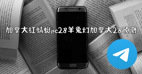 加拿大红蜻蜓pc28羊兔灯加拿大28预测