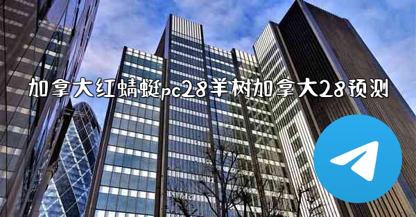 加拿大红蜻蜓pc28羊树加拿大28预测