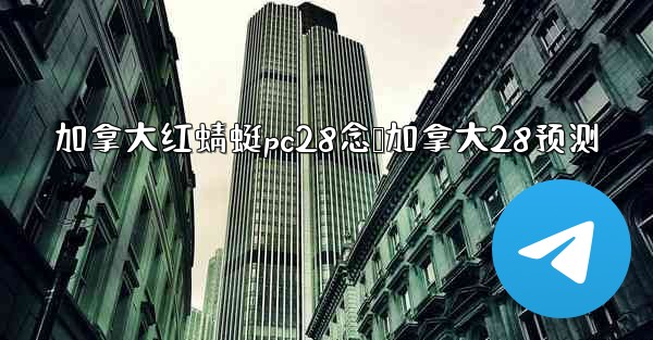 加拿大红蜻蜓pc28念鹅加拿大28预测