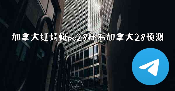 加拿大红蜻蜓pc28杯石加拿大28预测