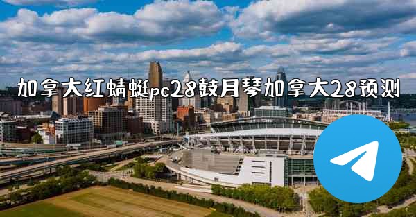 加拿大红蜻蜓pc28鼓月琴加拿大28预测