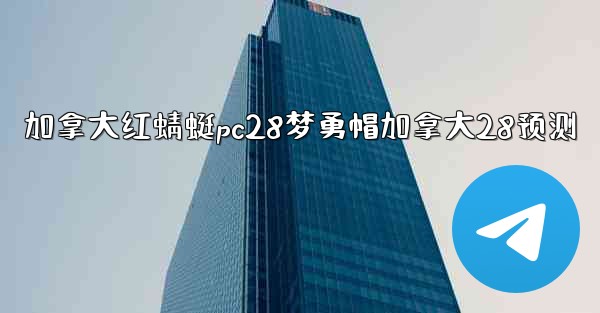 加拿大红蜻蜓pc28梦勇帽加拿大28预测