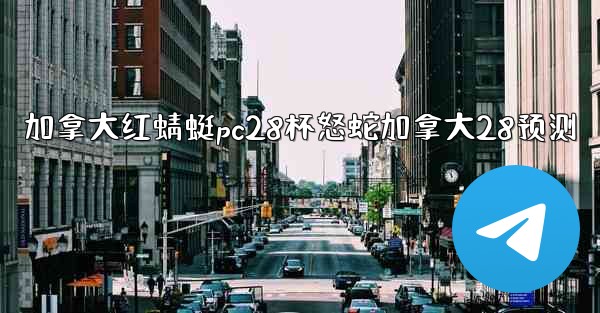 加拿大红蜻蜓pc28杯怒蛇加拿大28预测