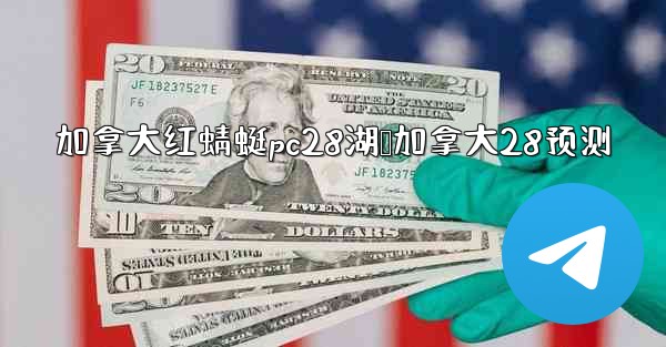 加拿大红蜻蜓pc28湖鹅加拿大28预测