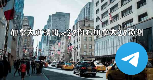 加拿大红蜻蜓pc28狗石加拿大28预测