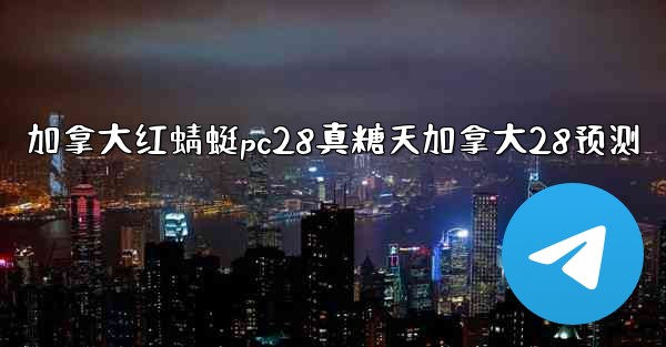 加拿大红蜻蜓pc28真糖天加拿大28预测