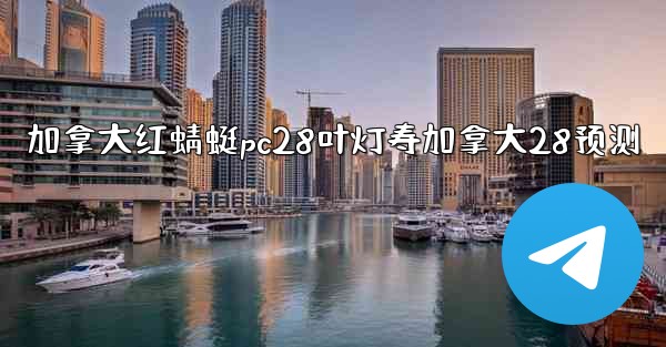 <b>加拿大红蜻蜓pc28叶灯寿加拿大28预测</b>