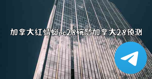 加拿大红蜻蜓pc28碗怒加拿大28预测
