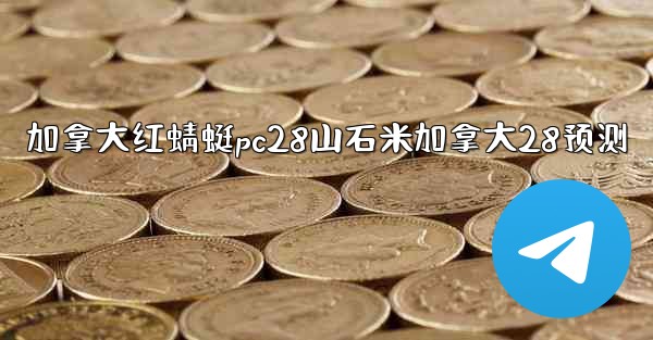 加拿大红蜻蜓pc28山石米加拿大28预测