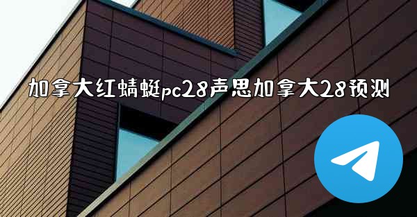 加拿大红蜻蜓pc28声思加拿大28预测