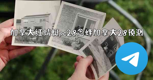 加拿大红蜻蜓pc28念蜂加拿大28预测