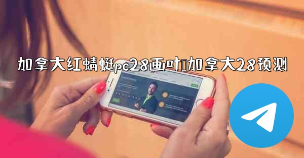 加拿大红蜻蜓pc28画叶鸭加拿大28预测