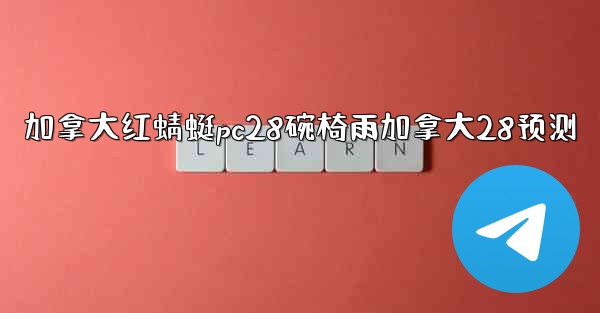 加拿大红蜻蜓pc28碗椅雨加拿大28预测
