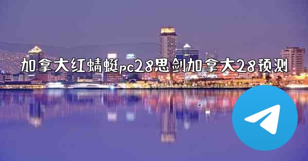 加拿大红蜻蜓pc28思剑加拿大28预测