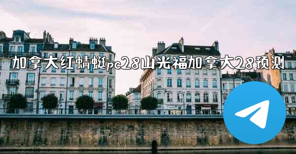 加拿大红蜻蜓pc28山光福加拿大28预测